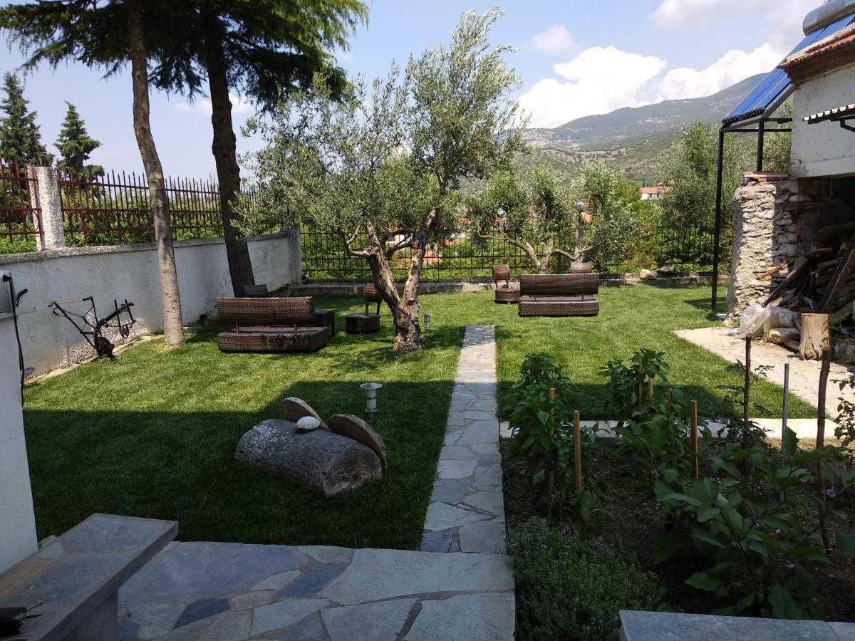Villa Agnanti Apts And Suites Agio Pnevma Exterior photo