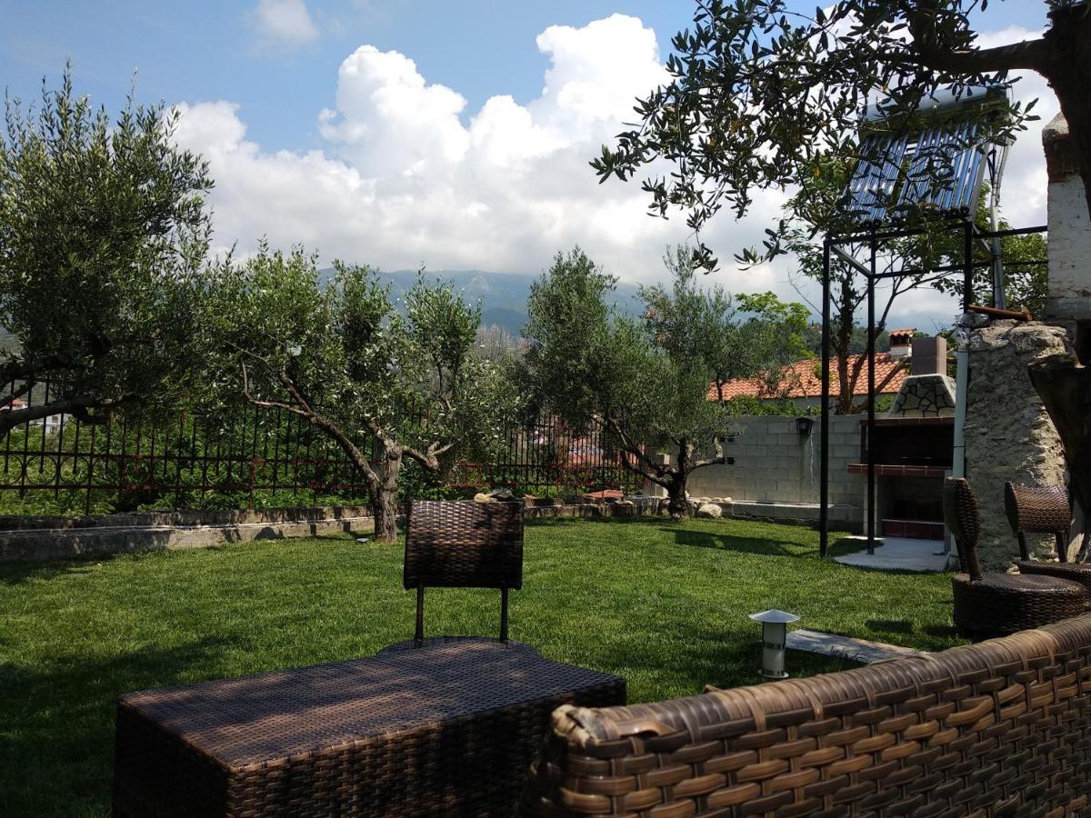 Villa Agnanti Apts And Suites Agio Pnevma Exterior photo